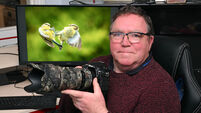 Battling blue tits triumph in Irish Examiner Readers Photography Competition