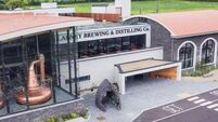 Killarney Brewing & Distilling: Politicians urge Government to help after 'devastating blow'