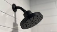 Black Shower Head