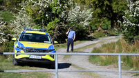 Gardaí stand down presence at Michael Gaine's farm as murder investigation continues