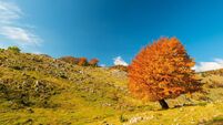 Autumn panorama in the mountains, in a remote rural area
