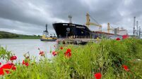 Port of Waterford: The south-east’s strategic  gateway to global trade