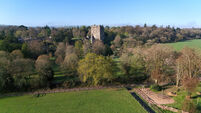 Blarney Castle owners lodge plans for outdoor swimming pool on estate grounds 