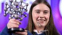 Young Scientist: Kerry student wins top prize for 'extraordinary' brain cancer diagnostic tool