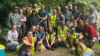 Gaelic Woodland Project: Building a community-rooted charity 