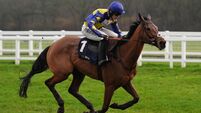 Newbury Races - Saturday February 7th