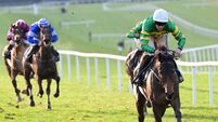 'This horse is class': Oscars Brother lands first win in McManus colours