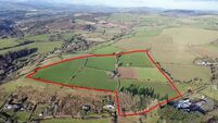 €15k/acre expected at auction for 44-acre Wicklow farm
