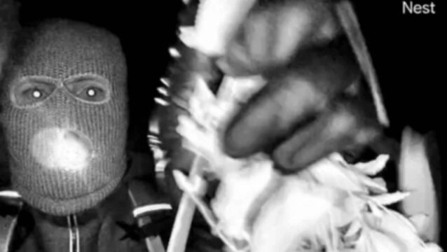 <p>Image taken of a prospective suspect at Nancy Guthrie’s home. Photograph: FBI</p>