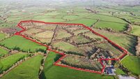 57-acre Kilkenny farm a very tempting auction prospect