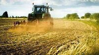 High yields, low returns: A third of tillage farmers in the red