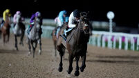 Southwell Races - Friday February 20th