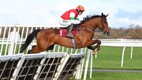 Ruby Walsh: British up for the fight but the wheels in sport turn slowly