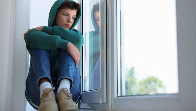 <p>Your youngest son needs to know that you understand how he feels and that he is not alone in his feelings. Picture: iStock </p>