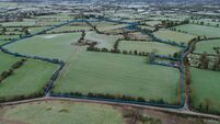 56-acre Golden Vale farm guiding at €15k/acre
